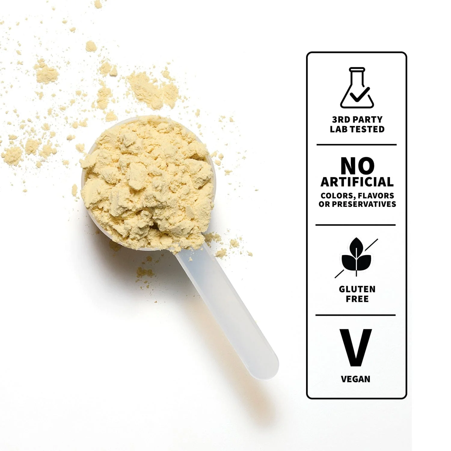 Plant Protein - Image 5